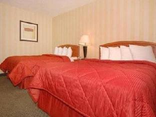 Quality Inn Colorado Springs Airport - 5