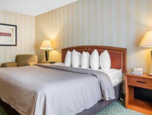 Quality Inn Colorado Springs Airport - 2