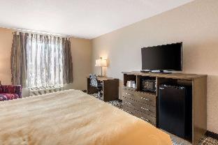 Quality Inn & Suites Carlsbad Caverns Area - 6