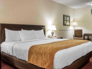 Comfort Inn Lakeside - 5