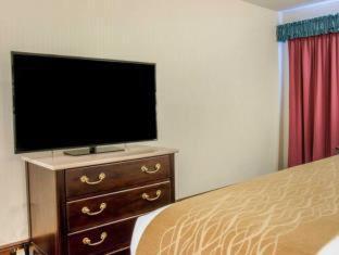 Comfort Inn Lakeside - 1