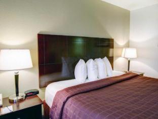 Quality Inn Bastrop - 7