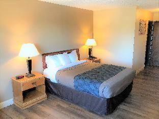 Sutter Inn - 8