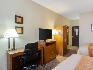 Comfort Inn & Suites Bellevue - Omaha Offutt AFB - 7