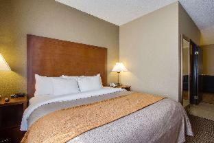 Comfort Inn & Suites Bellevue - Omaha Offutt AFB - Bellevue - 2