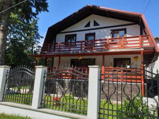 Casa Alexa - Sinaia - 8