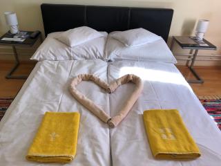 Hotel Oroszlán Szigetvár - Szigetvár - 9
