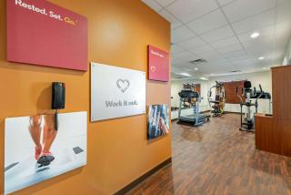 Comfort Suites Cincinnati Airport - Hebron - 5