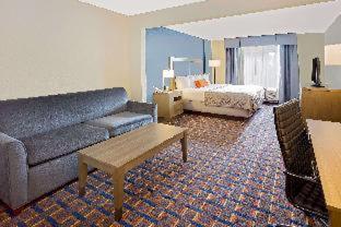Comfort Inn & Suites Arlington Heights - Schaumburg - Arlington Heights - 9