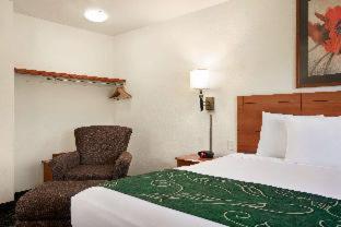 Travelodge by Wyndham Low Moor Near Covington - Low Moor - 8