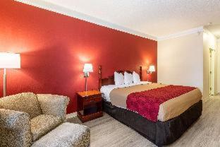 Econo Lodge Inn & Suites Douglasville - 8