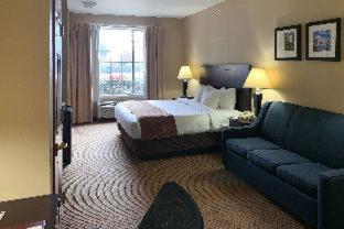 Comfort Suites Roanoke - Fort Worth North - 8