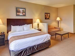 Comfort Suites Roanoke - Fort Worth North - 3