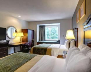 Spark by Hilton Sterling Dulles Airport - Sterling - 8