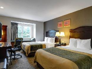 Spark by Hilton Sterling Dulles Airport - Sterling - 3