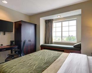 Spark by Hilton Sterling Dulles Airport - 2