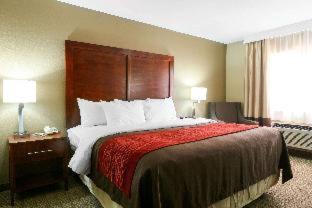 Comfort Inn & Suites Leeds I-20 - Leeds - 9