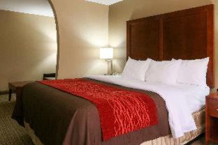 Comfort Inn & Suites Leeds I-20 - Leeds - 8