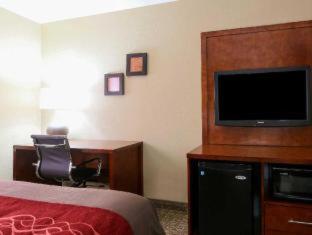 Comfort Inn & Suites Leeds I-20 - 6