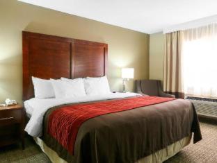 Comfort Inn & Suites Leeds I-20 - Leeds - 4