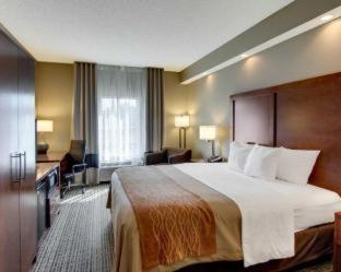 Comfort Inn West Monroe near Sports & Events Center - West Monroe - 7