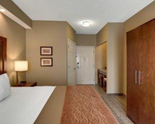 Comfort Inn West Monroe near Sports & Events Center - 5