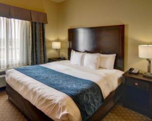 Comfort Suites Frisco - 3