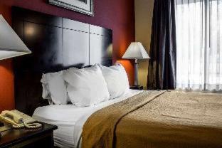 Quality Inn Brunswick Cleveland South - Brunswick - 1