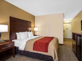 Comfort Inn Auburn-Worcester - 3