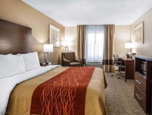 Comfort Inn Auburn-Worcester - 2