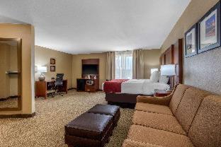 Comfort Suites Pelham Hoover I-65 - 6