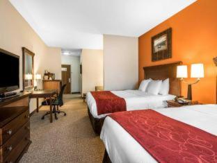 Comfort Suites Pelham Hoover I-65 - 4