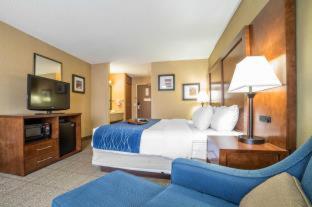 Comfort Inn Grand Junction I-70 - 6