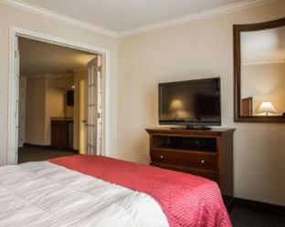 Clarion Inn & Suites at the Outlets of Lake George - Lake George - 9