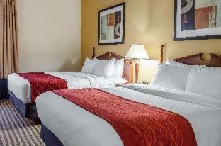 Comfort Suites near Penn State - State College, PA - State College - 6