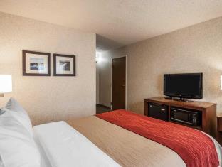 Quality Inn - 6