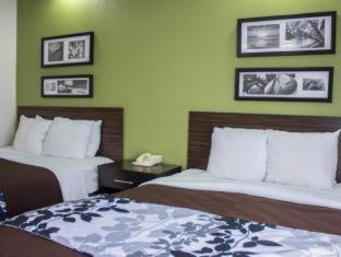 Sleep Inn Athens I-65 - Athens - 5