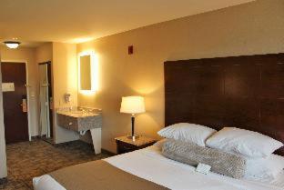 Medallion Inn and Suites - 4