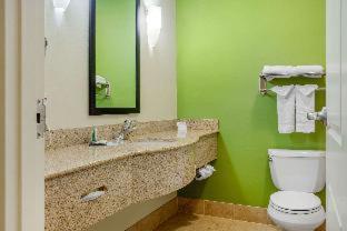 Sleep Inn & Suites Milwaukee Airport - Milwaukee - 8