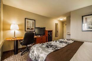 Sleep Inn & Suites Milwaukee Airport - Milwaukee - 3