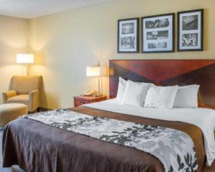 Wingate by Wyndham I-81 Exit 101- Newly Renovated - 1