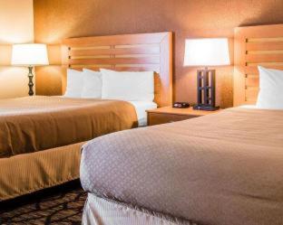 Quality Inn & Suites Warren - Detroit - 3