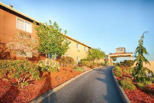 Red Lion Inn & Suites Sequim at Olympic National Park - Sequim - 9