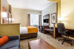 Comfort Suites At the University - 3