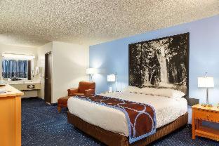 Super 8 by Wyndham Susanville - 4