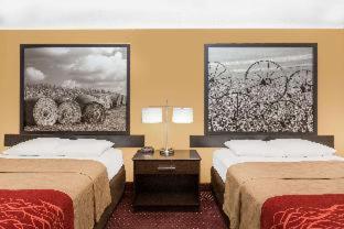 Red Roof Inn Ames - Ames - 8