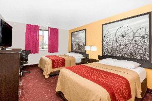 Red Roof Inn Ames - Ames - 6