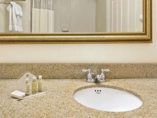 Comfort Inn & Suites Voorhees-Mt Laurel - Voorhees - 5