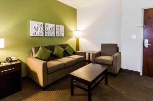 Sleep Inn & Suites Odessa near University - Odessa - 5
