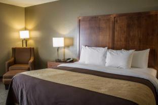 Quality Inn Dover - Dover - 3
